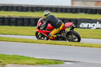 PJ-Motorsport-2019;anglesey-no-limits-trackday;anglesey-photographs;anglesey-trackday-photographs;enduro-digital-images;event-digital-images;eventdigitalimages;no-limits-trackdays;peter-wileman-photography;racing-digital-images;trac-mon;trackday-digital-images;trackday-photos;ty-croes
